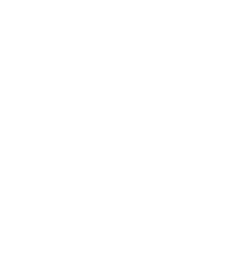 Allerion Consulting Group, Inc.
